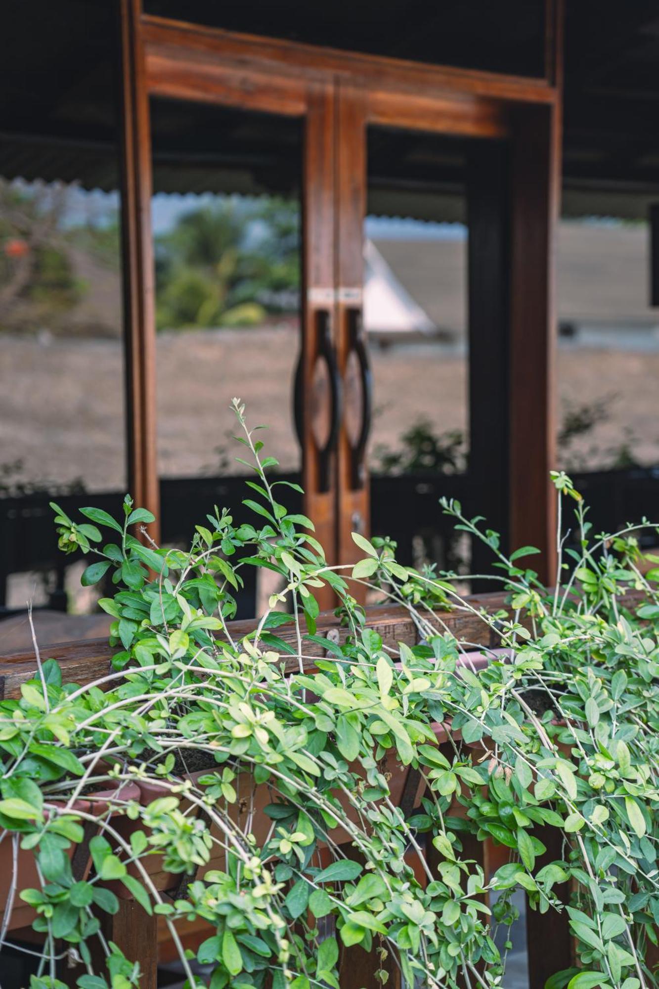 Gili Divers Hotel Gili Trawangan